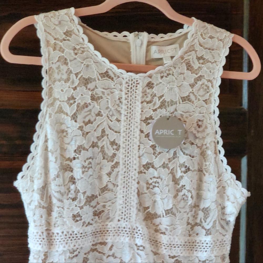 APRICOT Cream Lace Dress Size 10 Large Lined Fit & Flare Skater NEW - Picture 8 of 16